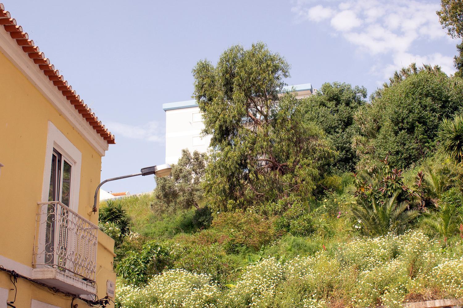 Vieira I Setúbal